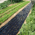 5~50m 5Holes Black Plastic Mulch Film Agricultural Vegetable Plants Grow Film Greenhouse Keep Warm Anti Grass Perforated PE